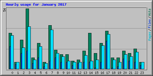 Hourly usage for January 2017