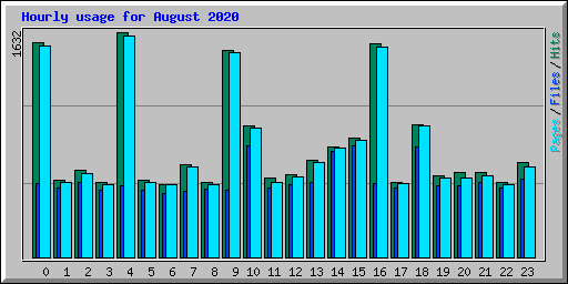 Hourly usage for August 2020