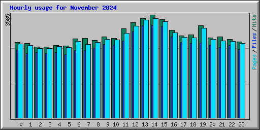 Hourly usage for November 2024