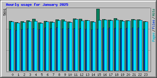 Hourly usage for January 2025