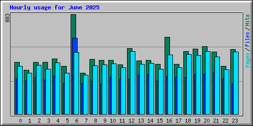 Hourly usage for June 2025