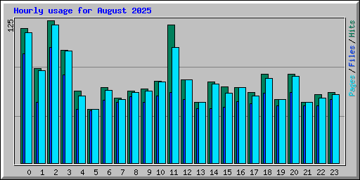 Hourly usage for August 2025