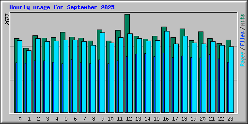 Hourly usage for September 2025