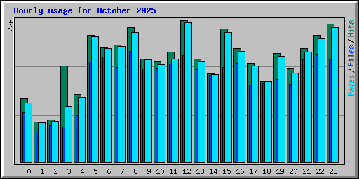 Hourly usage for October 2025