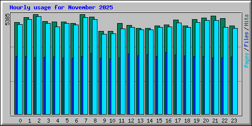 Hourly usage for November 2025