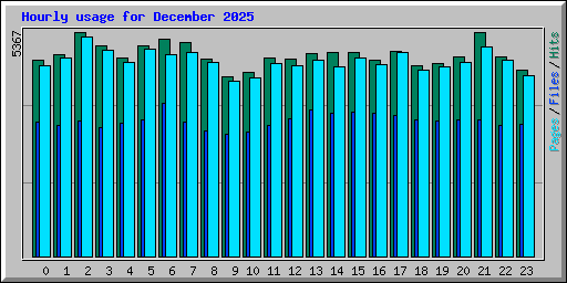 Hourly usage for December 2025