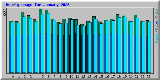 Hourly usage for January 2026