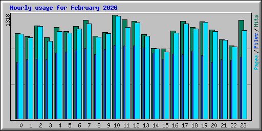 Hourly usage for February 2026