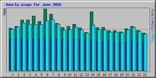 Hourly usage for June 2026