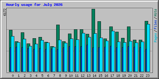 Hourly usage for July 2026